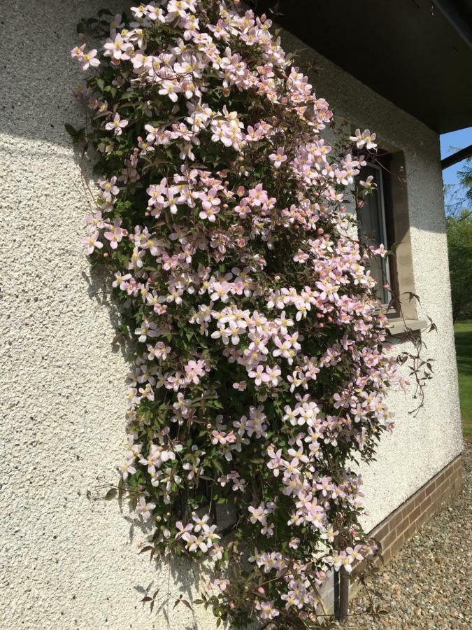 Heronlea Cottage Dunoon Kültér fotó